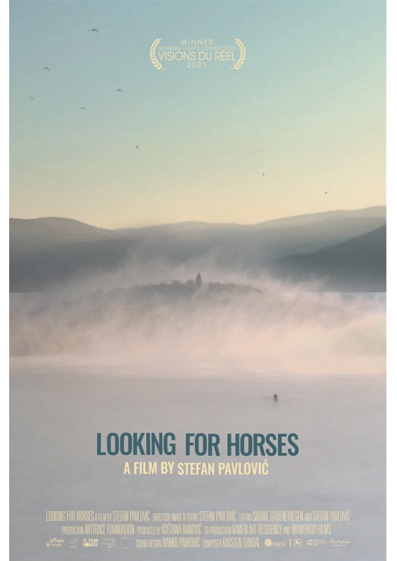 Looking for Horses