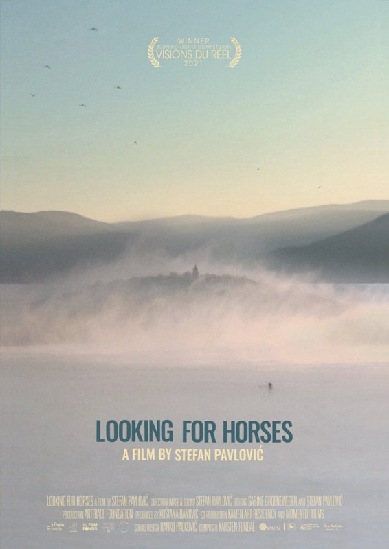 Looking for Horses